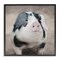 Stupell Industries Spotted Piglet Portrait Framed Giclee By Lori Deiter